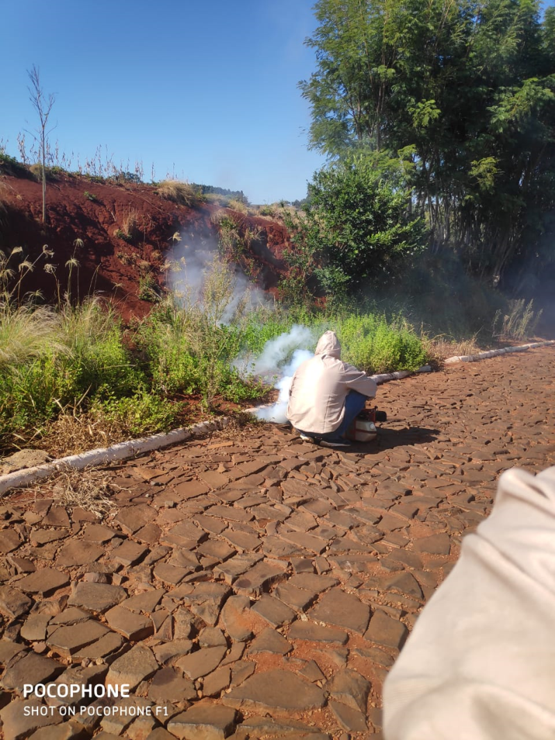Procedimento de dedetização é realizado no Município
